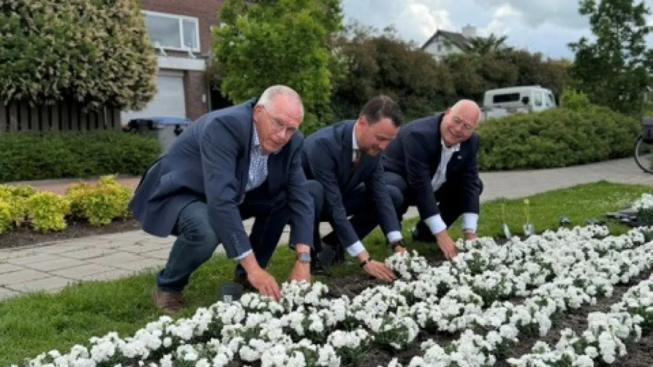 Veteranen en burgemeester planten anjers als symbool voor respect en waardering voor veteranen